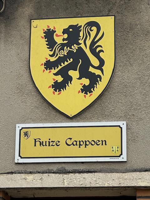 Vlaams